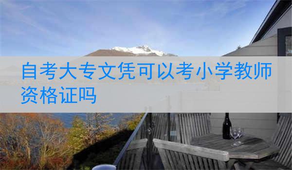 自考大专文凭可以考小学教师资格证吗