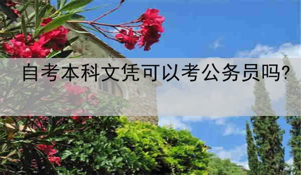 自考本科文凭可以考公务员吗?