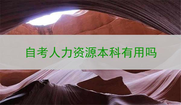 自考人力资源本科有用吗