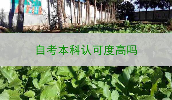 自考本科认可度高吗