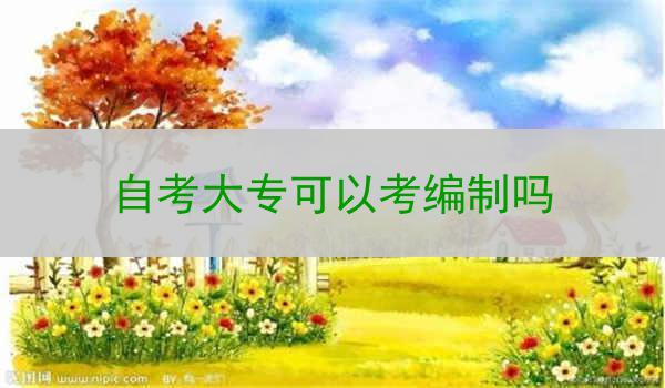 自考大专可以考编制吗