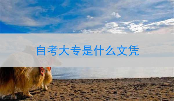 自考大专是什么文凭