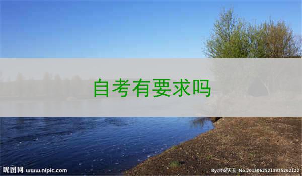 自考有要求吗