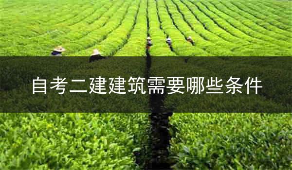 自考二建建筑需要哪些条件