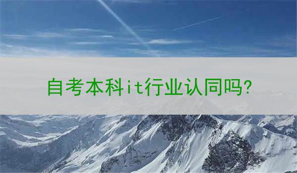 自考本科it行业认同吗?