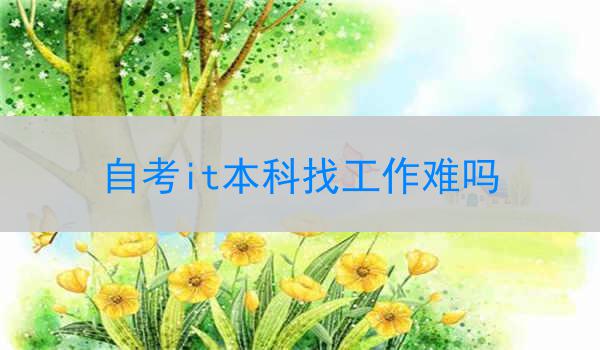 自考it本科找工作难吗