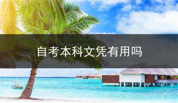 自考本科文凭有用吗