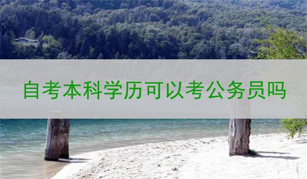 自考本科学历可以考公务员吗