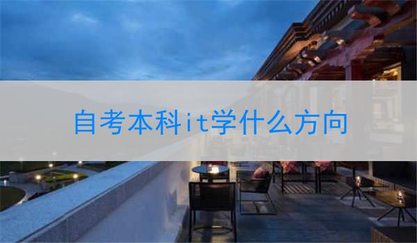 自考本科it学什么方向