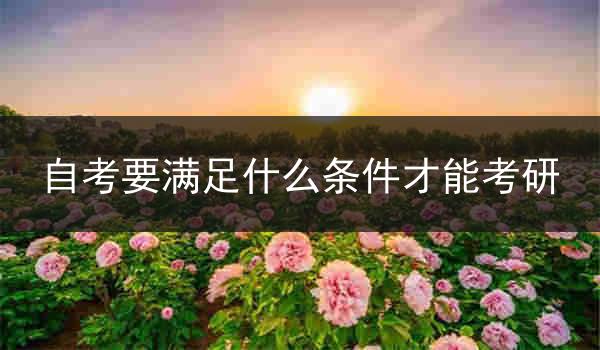 自考要满足什么条件才能考研