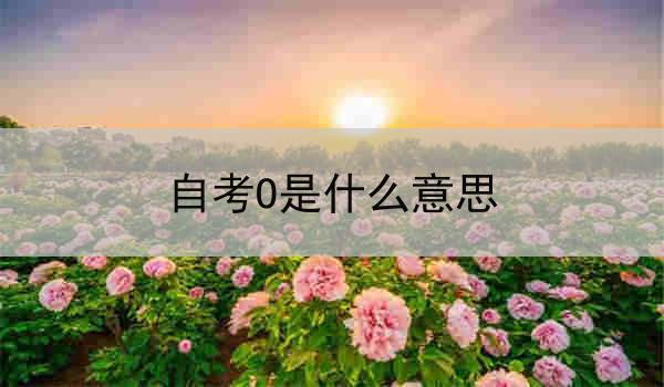 自考O是什么意思