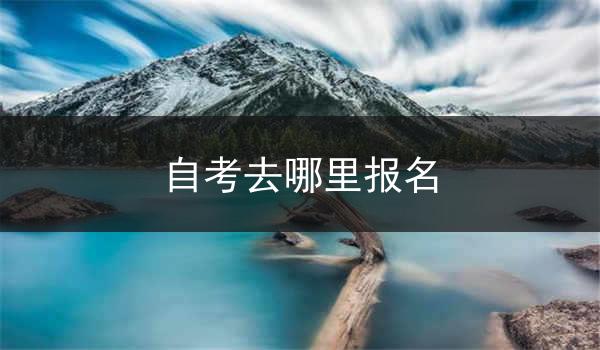 自考去哪里报名