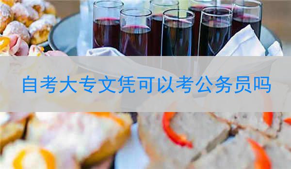 自考大专文凭可以考公务员吗