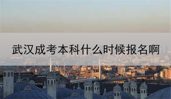 武汉成考本科什么时候报名啊