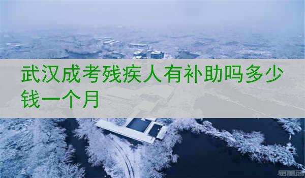 武汉成考残疾人有补助吗多少钱一个月