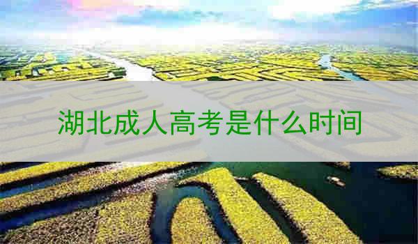 湖北成人高考是什么时间