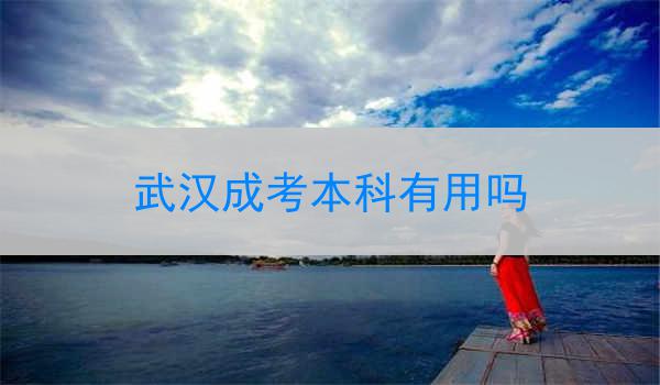 武汉成考本科有用吗