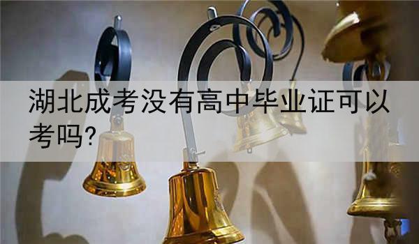 湖北成考没有高中毕业证可以考吗?
