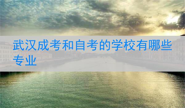 武汉成考和自考的学校有哪些专业