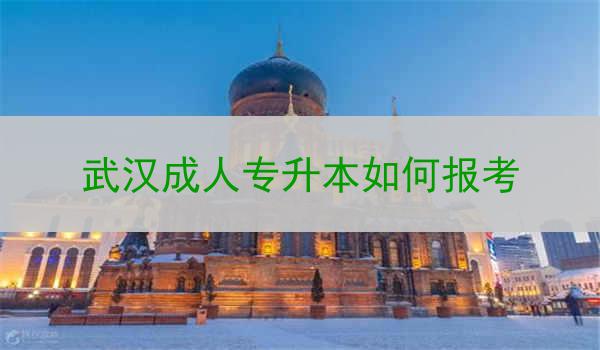 武汉成人专升本如何报考