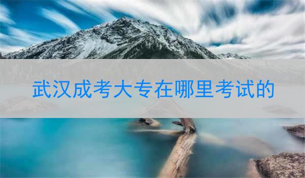 武汉成考大专在哪里考试的