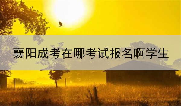 襄阳成考在哪考试报名啊学生