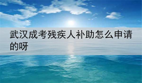 武汉成考残疾人补助怎么申请的呀