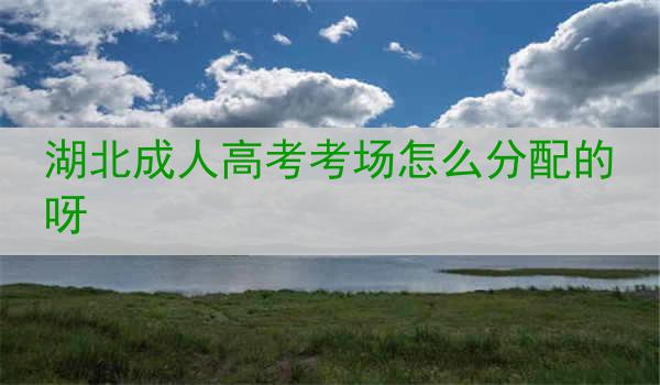 湖北成人高考考场怎么分配的呀