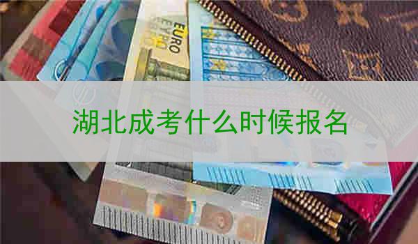 湖北成考什么时候报名