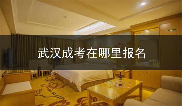 武汉成考在哪里报名