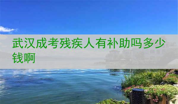 武汉成考残疾人有补助吗多少钱啊