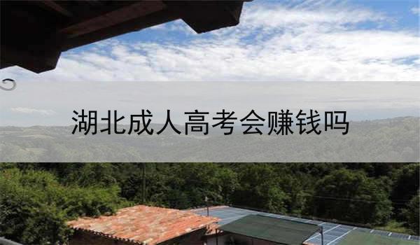 湖北成人高考会赚钱吗