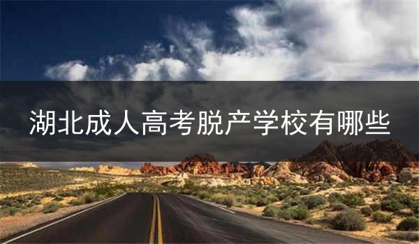 湖北成人高考脱产学校有哪些