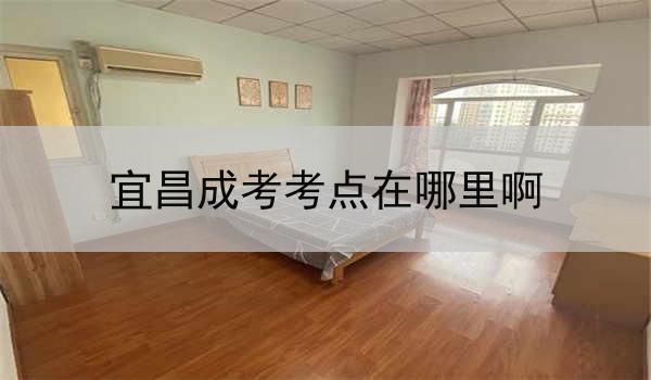 宜昌成考考点在哪里啊