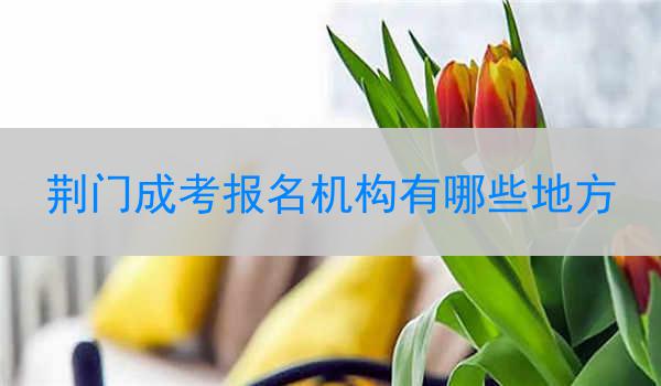 荆门成考报名机构有哪些地方