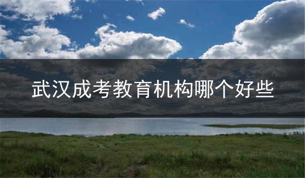 武汉成考教育机构哪个好些