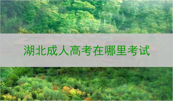 湖北成人高考在哪里考试