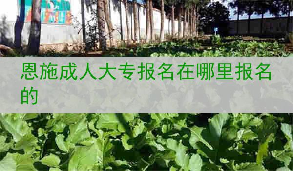 恩施成人大专报名在哪里报名的