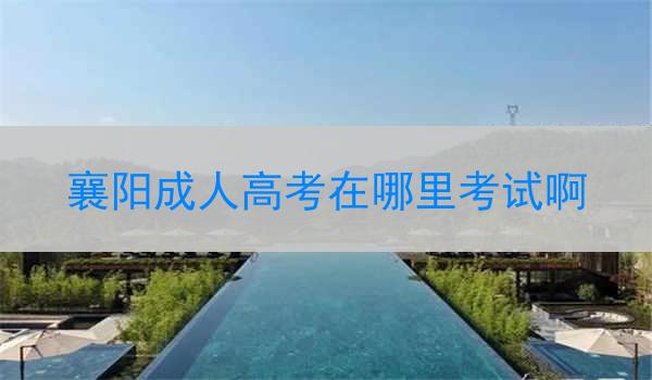 襄阳成人高考在哪里考试啊