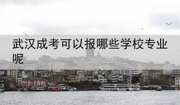武汉成考可以报哪些学校专业呢