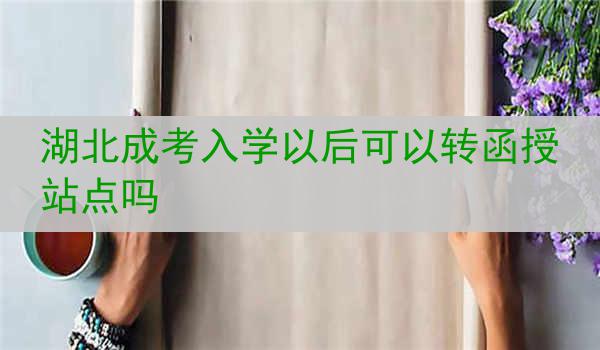 湖北成考入学以后可以转函授站点吗
