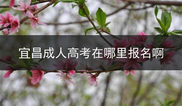 宜昌成人高考在哪里报名啊