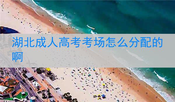 湖北成人高考考场怎么分配的啊