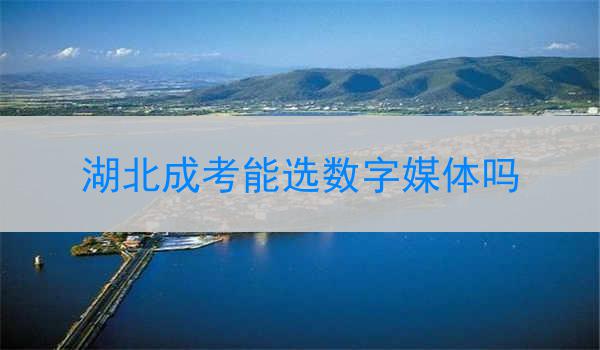 湖北成考能选数字媒体吗