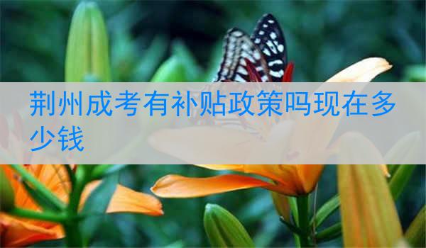 荆州成考有补贴政策吗现在多少钱