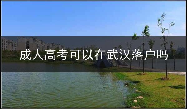 成人高考可以在武汉落户吗