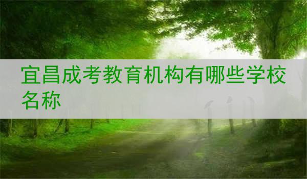 宜昌成考教育机构有哪些学校名称