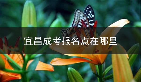 宜昌成考报名点在哪里