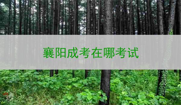 襄阳成考在哪考试