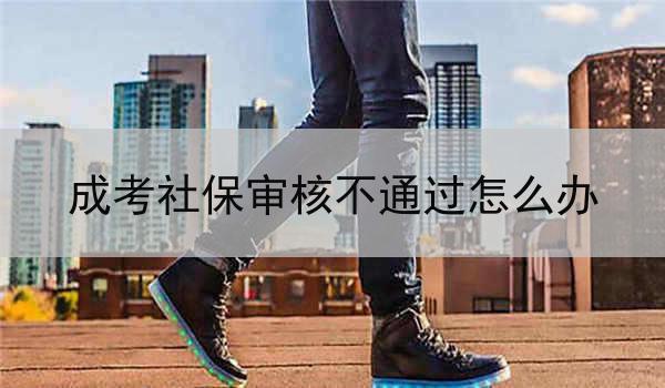 成考社保审核不通过怎么办